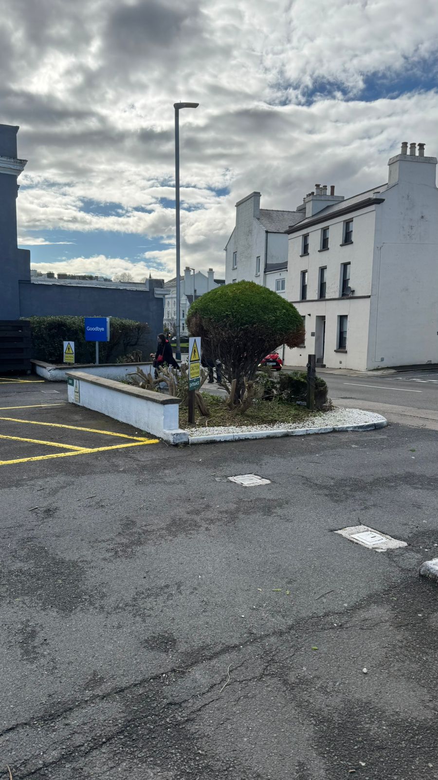 Landscaped island with shrubs and a maintained border