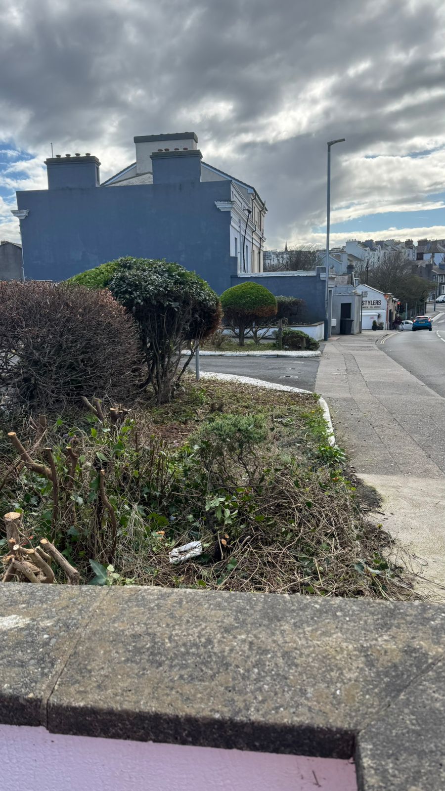 Roadside planting bed kept tidy beside a street and buildings
